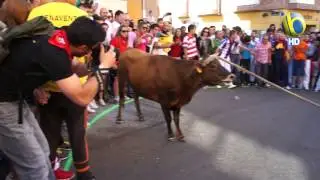 Torito del Alba 