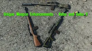 Unique Weapon Enhancements - Reba and Reba II
