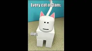 Every night💀🔥 |#RobloxAnimation #shorts #short #memes #roblox