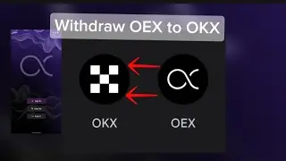 Import your OEX points to the OKX Wallet.