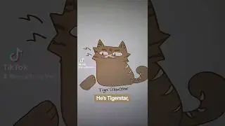 Tigerstar's Many Clones #warriorcats
