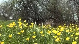 Camping Woltzdal Luxemburg Omgeving deel 1