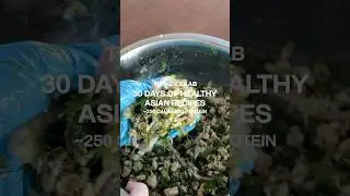 30 DAYS OF HEALTHY ASIAN RECIPES | TURKEY LAAB