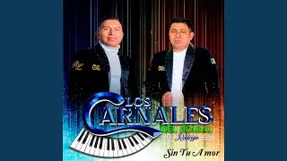 Sin Tu Amor