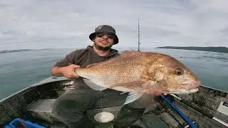 Hunting For A BIG SNAPPER. Wellington. Kapiti. New Zealand