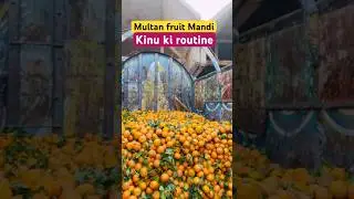 Multan fruit Mandi oring rates today ||@kharramunda