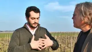 JAMESSUCKLING.COM - Bordeaux - P&eacute;trus - En Primeur 2012