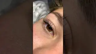 Ламинирование длинных ресниц #lashes #lashlamination #lashlifting #dailyshorts #kirpik #brows #usa
