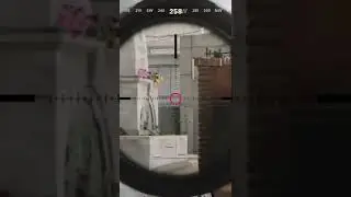 Crazy COLLATERAL Sniper Shot