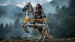 🎶 Foaie Verde Maghiran – Baladă Haiducească 🌲⚔️ | by VladyMix