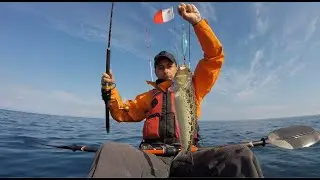 Kayak fishing in very calm sea | Biggest Spotted Weever so far and more