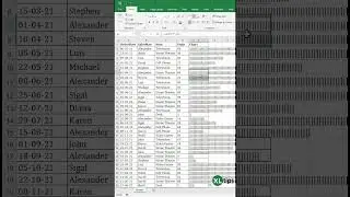 Mastering REPT Function : The Small Chart Powerhouse in Excel for Data Visualization
