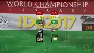 IDC 2017