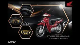 Honda Dream 2020