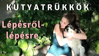 KUTYATRÜKKÖK TANÍTÁSA lépésről lépésre! // Visz Dorina