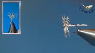 Trockenfliege für  Bindeanfänger