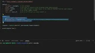 how to use comment endpoint in reddapi | the unofficial API for reddit #developertools #redditapi