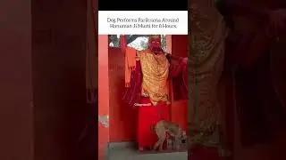subscribe for more divine information 🙏 #shorts #trending #hanuman #viral