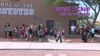 DIAMOND CANYON PICK UP PROCEDURES VIDEO