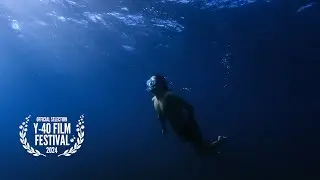 DIVE | New Zealand Underwater Short Film | GoPro Hero 9 Black