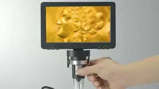 Hayve 7&lsquo;&rsquo; Digital Microscope 1200X Zoom 12MP HD Electronic