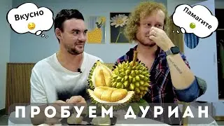 Кормим мартышек | Пробуем Дуриан
