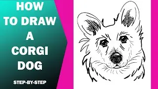 How to Draw a Corgi Dog - step-by-step