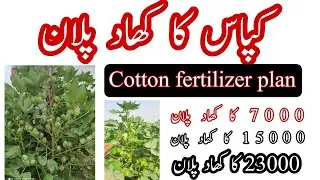Cotton fertilizer plan (part1)