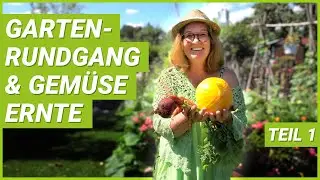 Sommerlicher Gartenrundgang | Neue Terrasse, Kräuterspirale & Gemüse Ernte | Teil 1