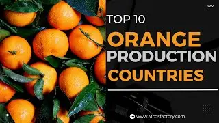 Top 10 Orange Production Countries By McqsFactory Official