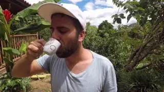 Route du Caf&eacute;