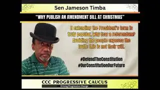 Why publish an amendment bill at Christmas?