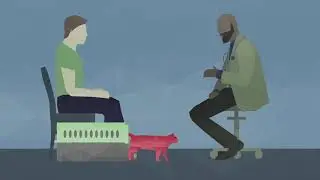 How Fear Free Veterinary Visits are Different at Freeport Animal Hospital