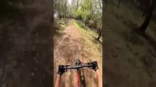 #mtb #mtbrider #bikepark #reelitfeelit #rideorcry #mtbgram #viral #cubebikes  #trailriding #downhill