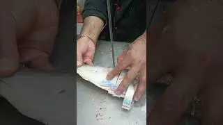 small hilsa fish cutting skills