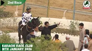 KRC  |  2nd Race  18th January 2026  WINNER MISSION VICTORY
