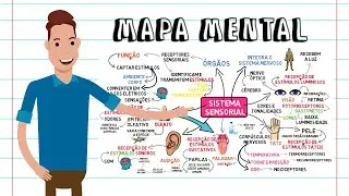 MAPA MENTAL -  SISTEMA SENSORIAL