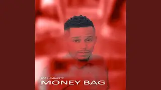 Money Bag