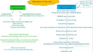 Movements of the colon. Chapter 64 (part 9). Guyton and Hall Physiology.