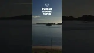coromandel peninsula new zeland - amazing nature of coromandel peninsula, new zealand