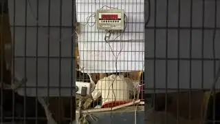 135 KG of Nigerian Products Ready for Export to the U.S. &ndash; Powered by Our Community