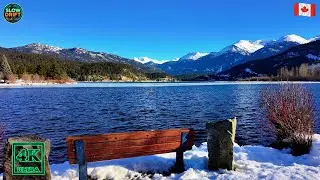 This Snowy Walk Feels Unreal ❄️☀️ | Green Lake 4K