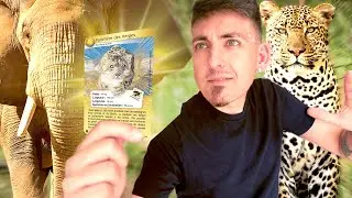 Ce TCG prot&egrave;ge des animaux !