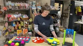 Best Interactive Toys for Dogs | Advice from Doghouse Pet Shop