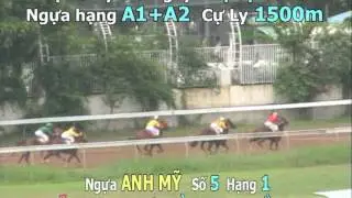 ANH MY 10 66