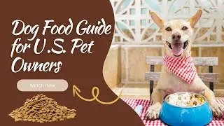 The Ultimate Dog Food Guide for U.S. Pet Owners | Nutrition, Safety & Tips