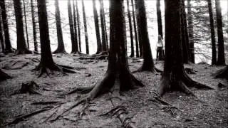 Taake - Fra Vadested til Vaandesmed
