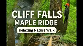 🌿 Cliff Falls Hike &ndash; Maple Ridge, BC | Relaxing Nature Walk & ASMR 🌿