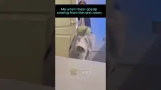 Baby Yoda Listens to Gossip - Baby Yoda's World #shortvideo #babyyoda #yoda #funny #memes