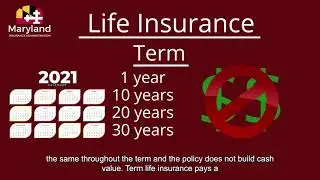 Life Insurance for Young Adults